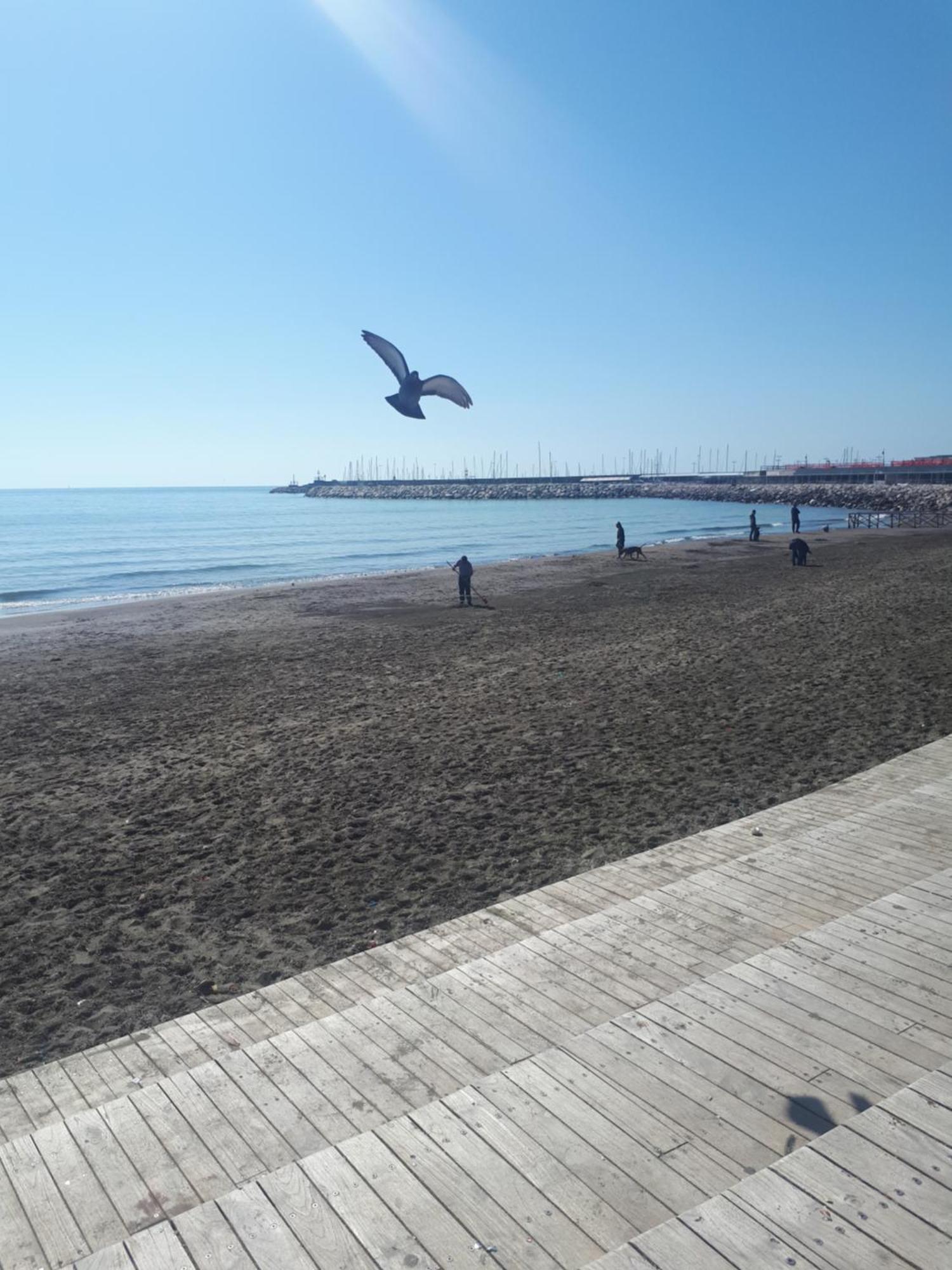 Salerno Centraal Apartment エクステリア 写真